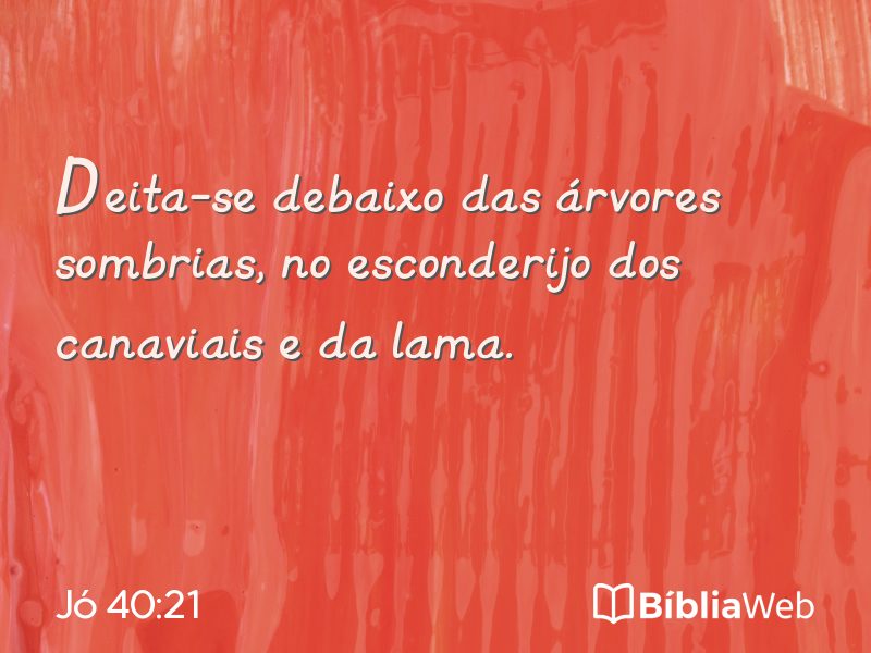 Jó 40:21 em imagem para compartilhar