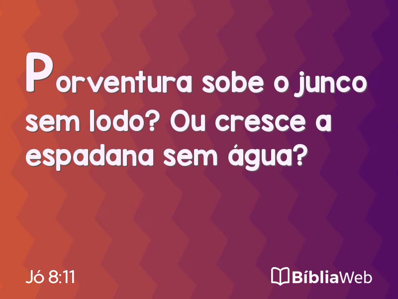 Jó 8:11 em imagem para compartilhar