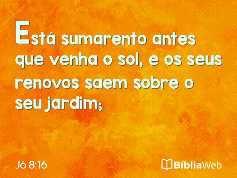 Jó 8:16 em imagem para compartilhar