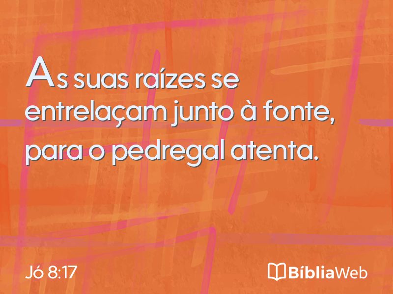 Jó 8:17 em imagem para compartilhar