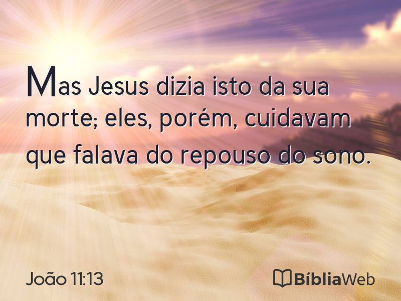 João 11:13 em imagem para compartilhar