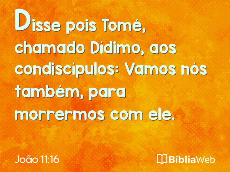 João 11:16 em imagem para compartilhar