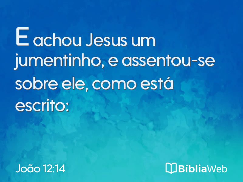 João 12:14 em imagem para compartilhar
