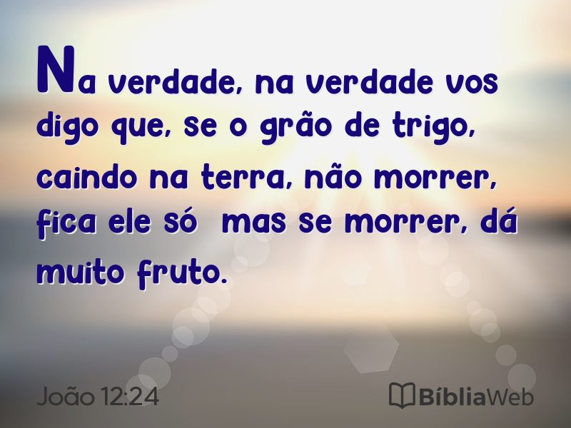 João 12:24 em imagem para compartilhar