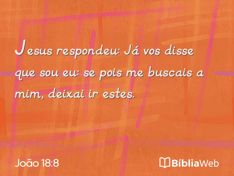 João 18:8 em imagem para compartilhar