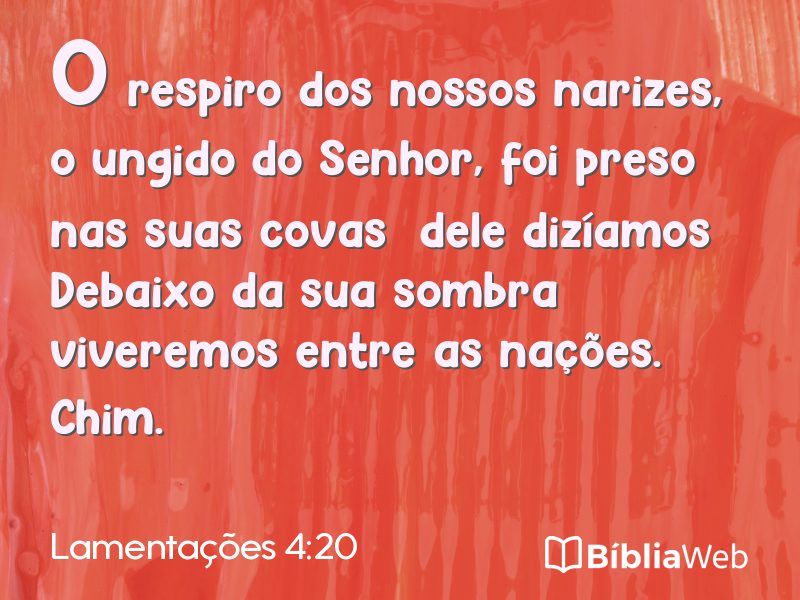 Lamentações 4:20 em imagem para compartilhar