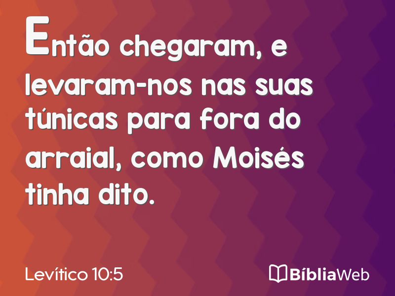 Levítico 10:5 em imagem para compartilhar