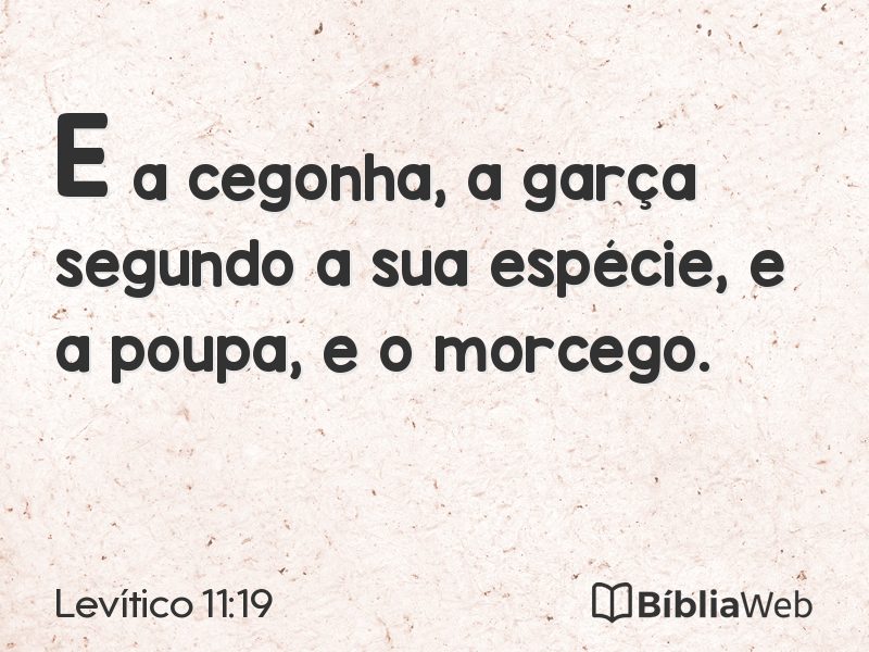 Levítico 11:19 em imagem para compartilhar