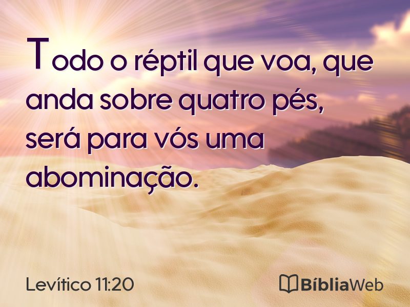 Levítico 11:20 em imagem para compartilhar