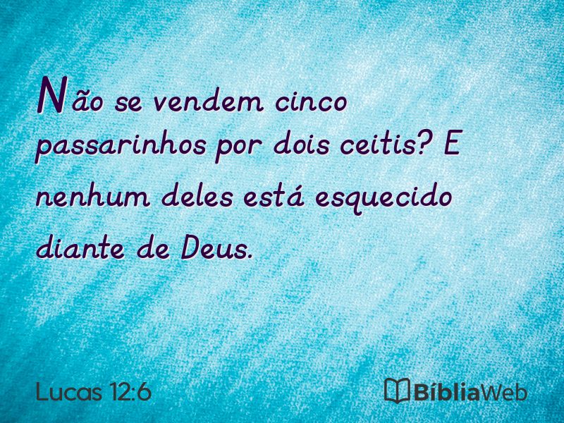 Lucas 12:6 em imagem para compartilhar