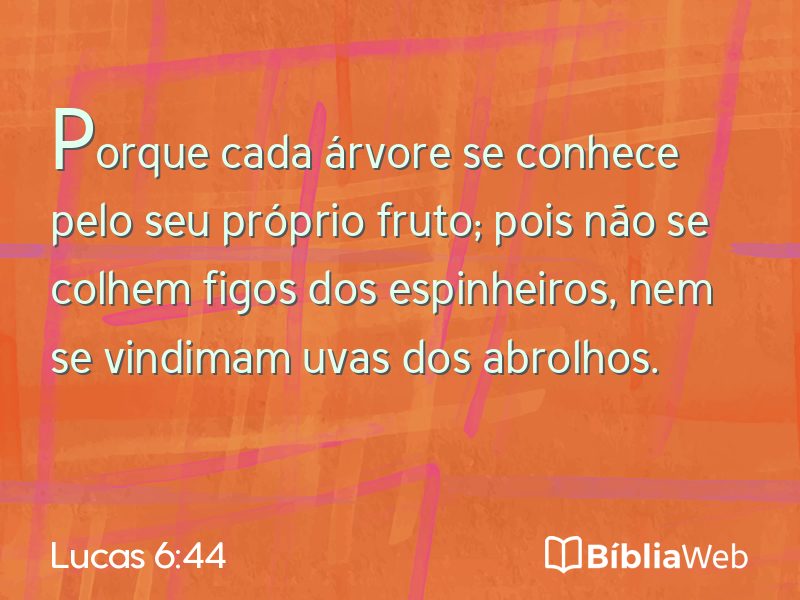 Lucas 6:44 em imagem para compartilhar