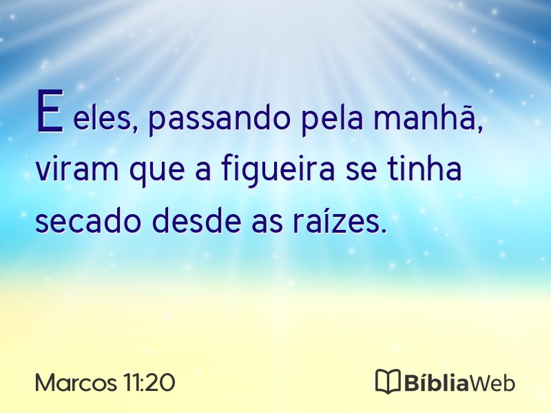 Marcos 11:20 em imagem para compartilhar