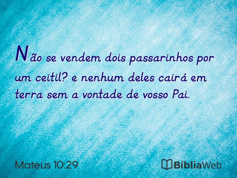 Mateus 10:29 em imagem para compartilhar