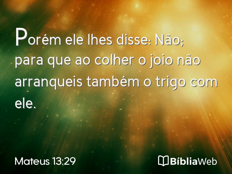 Mateus 13:29 em imagem para compartilhar