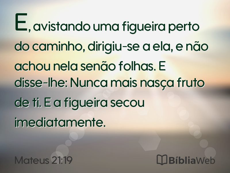 Mateus 21:19 em imagem para compartilhar