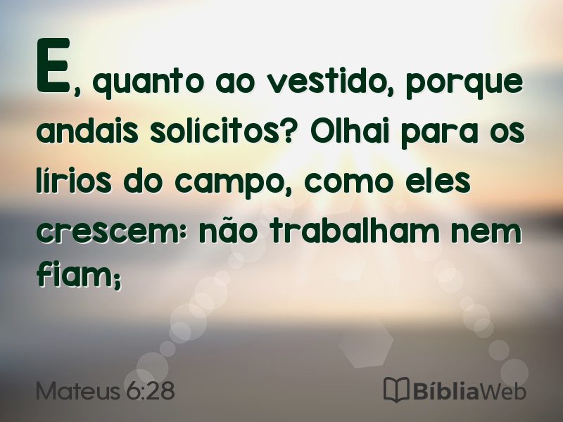 Mateus 6:28 em imagem para compartilhar