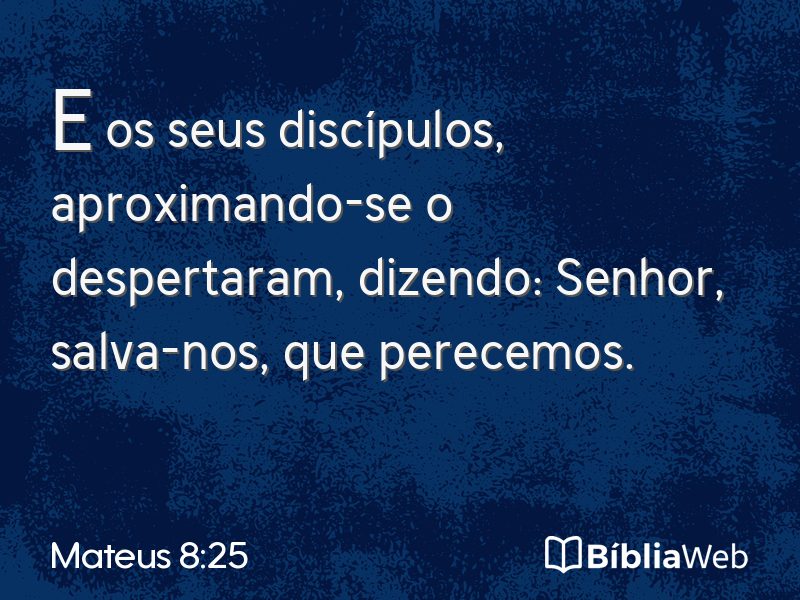 Mateus 8:25 em imagem para compartilhar