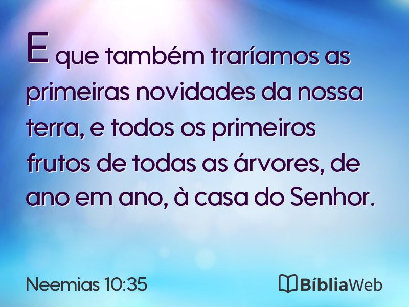 Neemias 10:35 em imagem para compartilhar