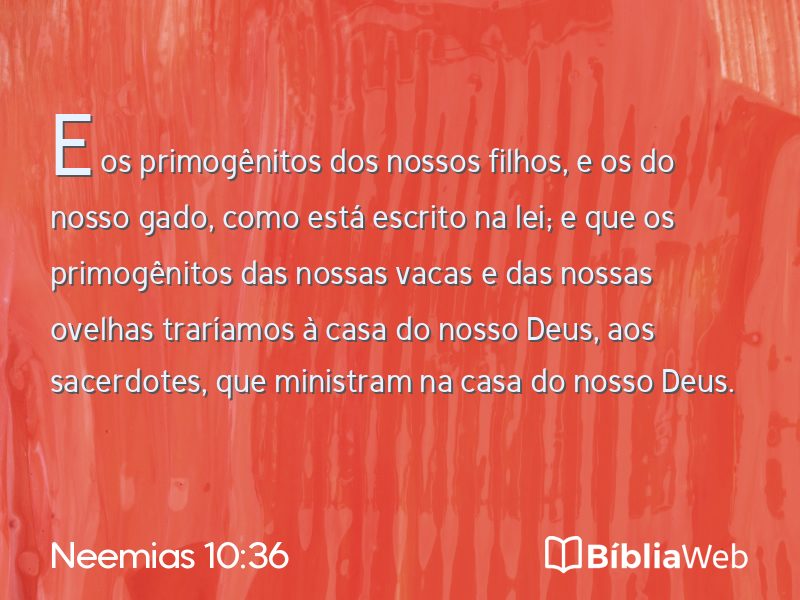 Neemias 10:36 em imagem para compartilhar