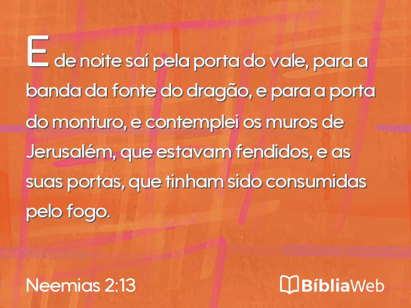 Neemias 2:13 em imagem para compartilhar