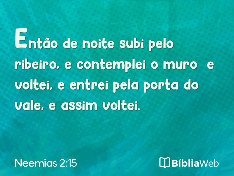 Neemias 2:15 em imagem para compartilhar