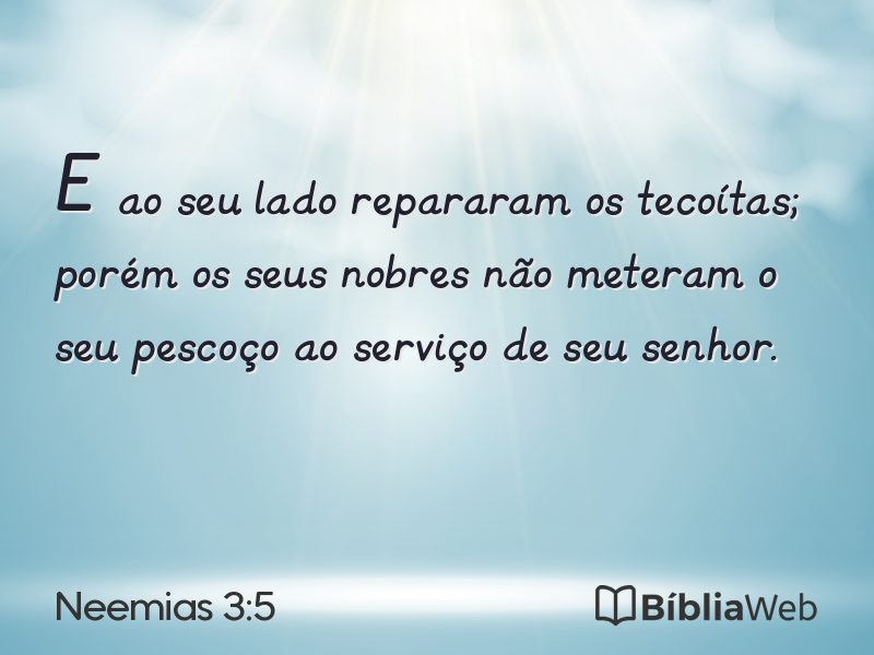 Neemias 3:5 em imagem para compartilhar