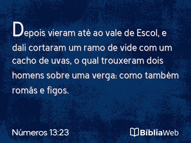 Números 13:23 em imagem para compartilhar