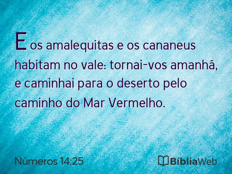 Números 14:25 em imagem para compartilhar