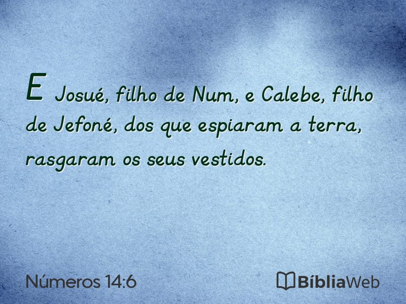 Números 14:6 em imagem para compartilhar