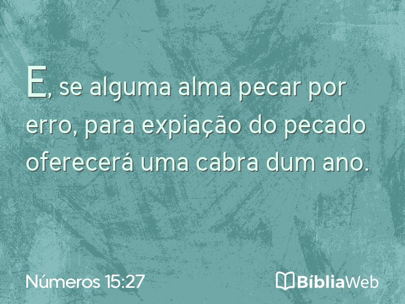 Números 15:27 em imagem para compartilhar