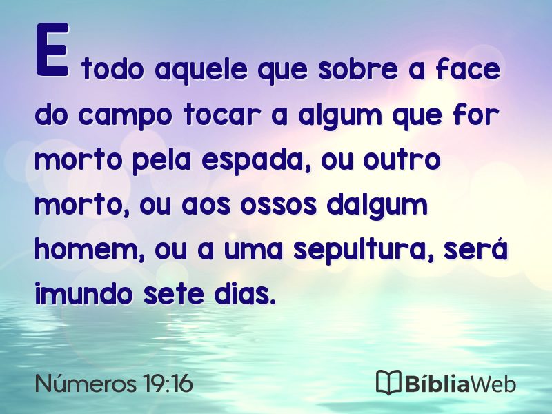 Números 19:16 em imagem para compartilhar