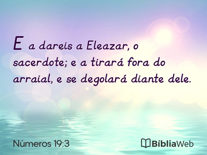 Números 19:3 em imagem para compartilhar