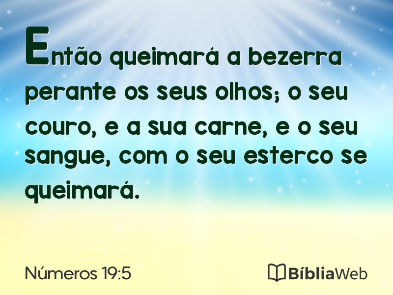 Números 19:5 em imagem para compartilhar