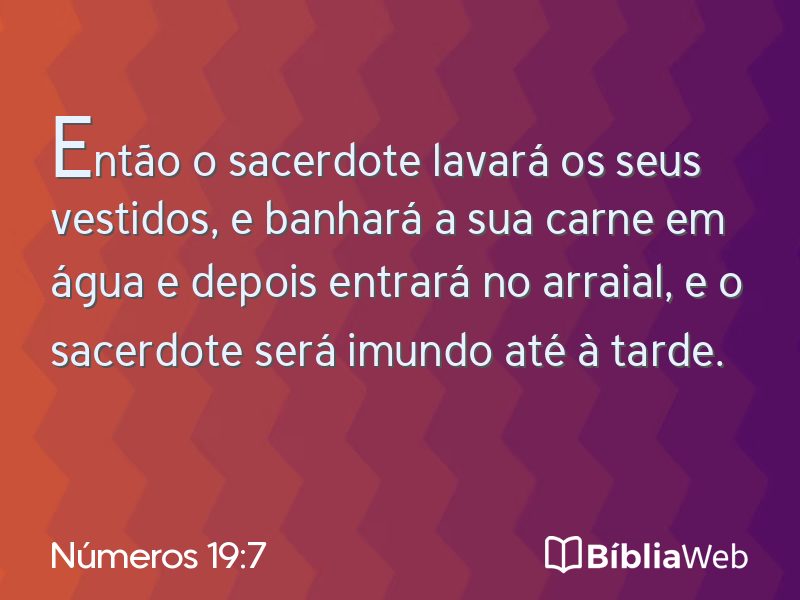 Números 19:7 em imagem para compartilhar