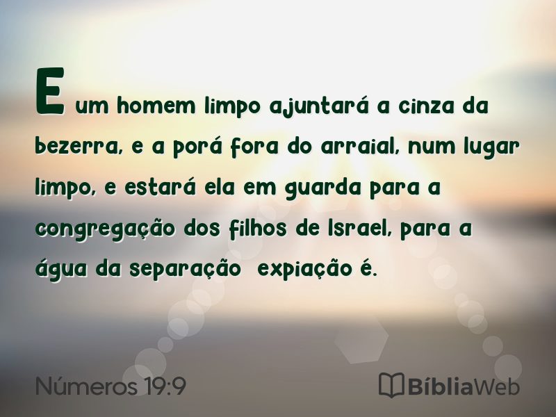 Números 19:9 em imagem para compartilhar