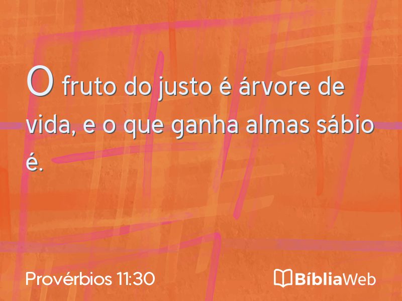 Provérbios 11:30 em imagem para compartilhar
