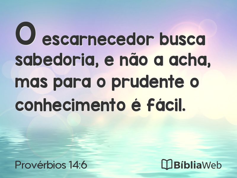 Provérbios 14:6 em imagem para compartilhar