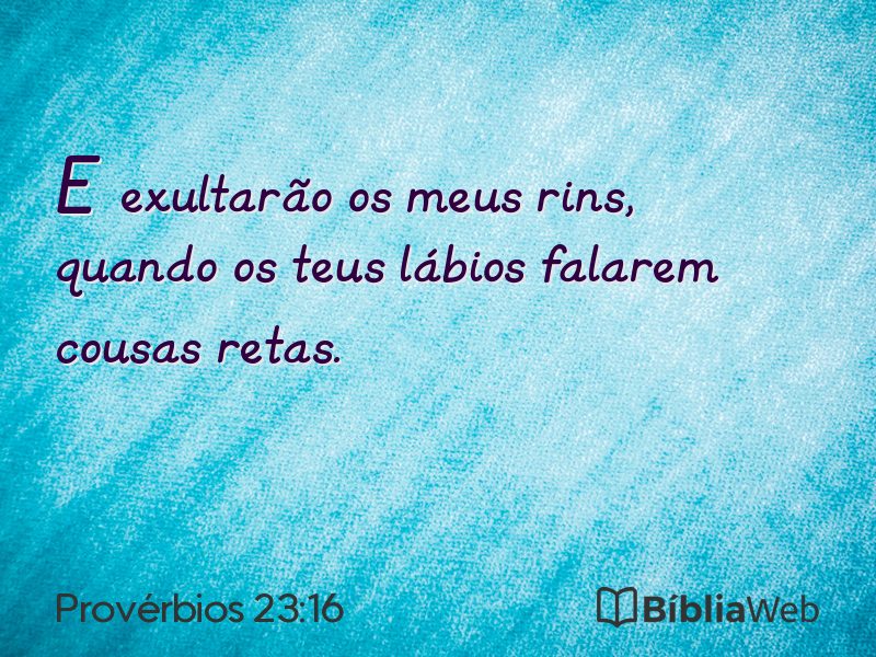 Provérbios 23:16 em imagem para compartilhar