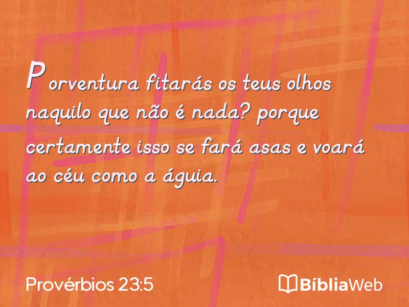 Provérbios 23:5 em imagem para compartilhar
