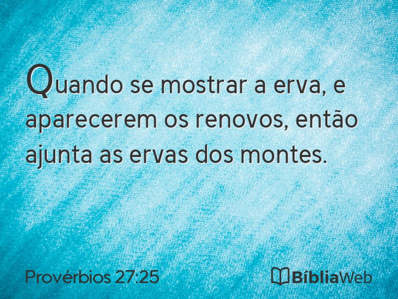 Provérbios 27:25 em imagem para compartilhar