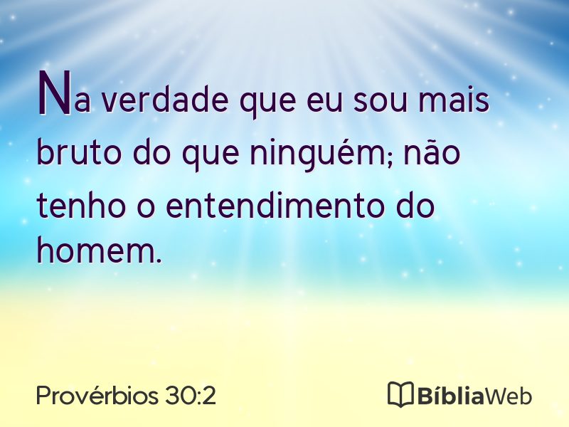 Provérbios 30:2 em imagem para compartilhar