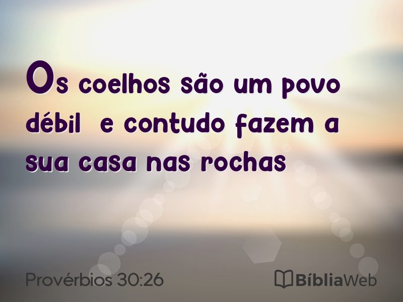 Provérbios 30:26 em imagem para compartilhar