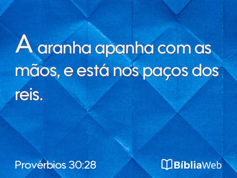 Provérbios 30:28 em imagem para compartilhar