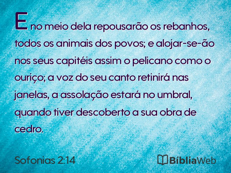 Sofonias 2:14 em imagem para compartilhar