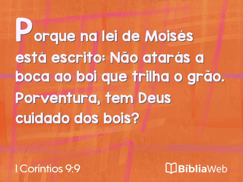 I Coríntios 9:9 em imagem para compartilhar