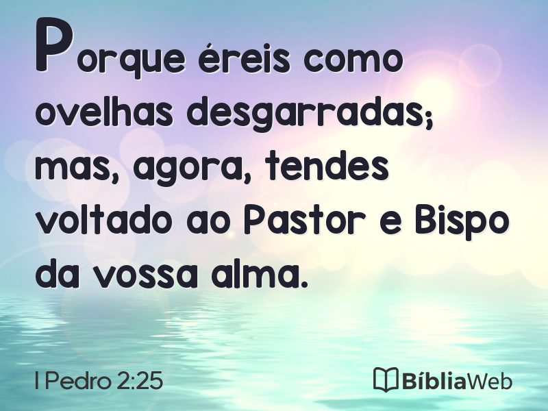 I Pedro 2:25 em imagem para compartilhar