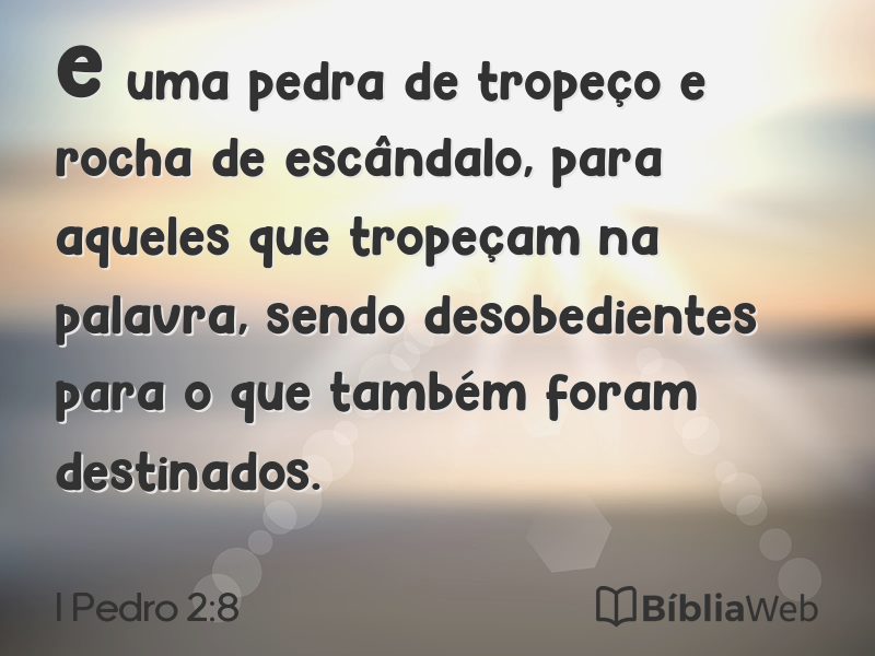 I Pedro 2:8 em imagem para compartilhar