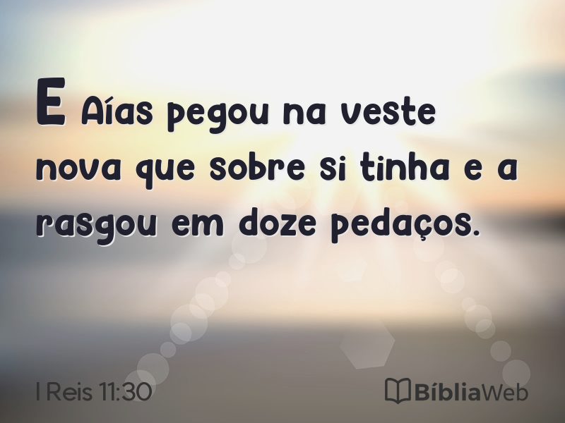 I Reis 11:30 em imagem para compartilhar