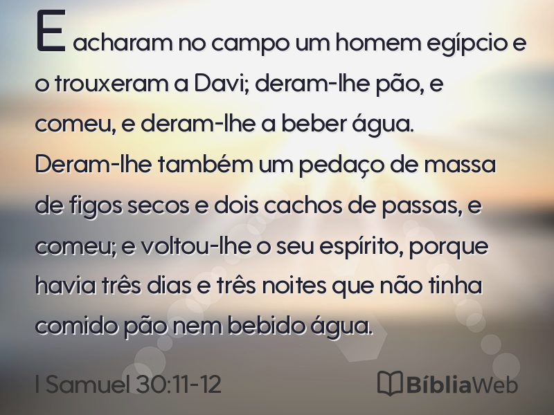 I Samuel 30:11-12 em imagem para compartilhar