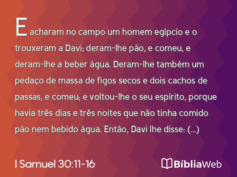 I Samuel 30:11-16 em imagem para compartilhar